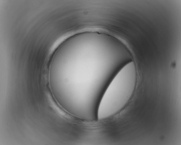 X0000114681046200910211027