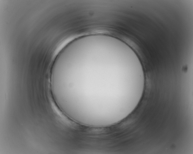 X0000114681047200910211027