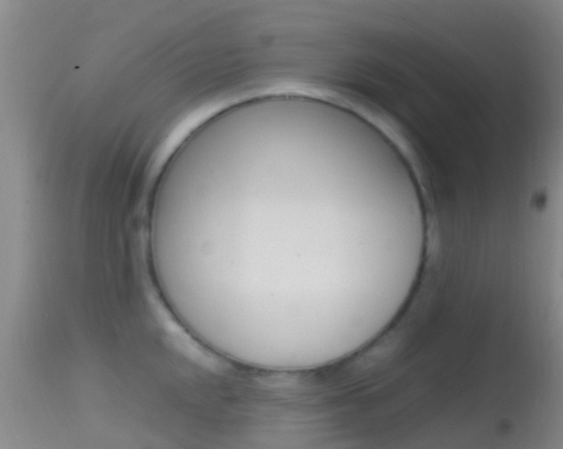 X0000114681048200910211027