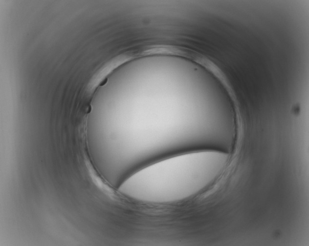 X0000114681049200910211027