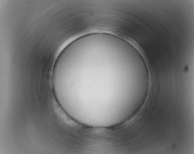 X0000114681052200910211027