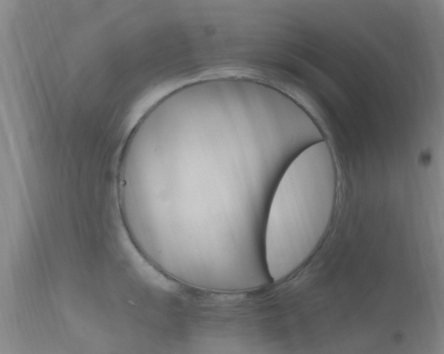 X0000114681055200910211027