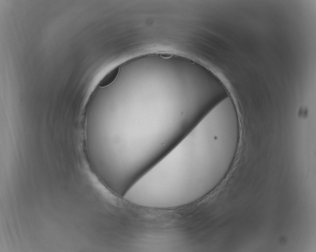 X0000114681056200910211028