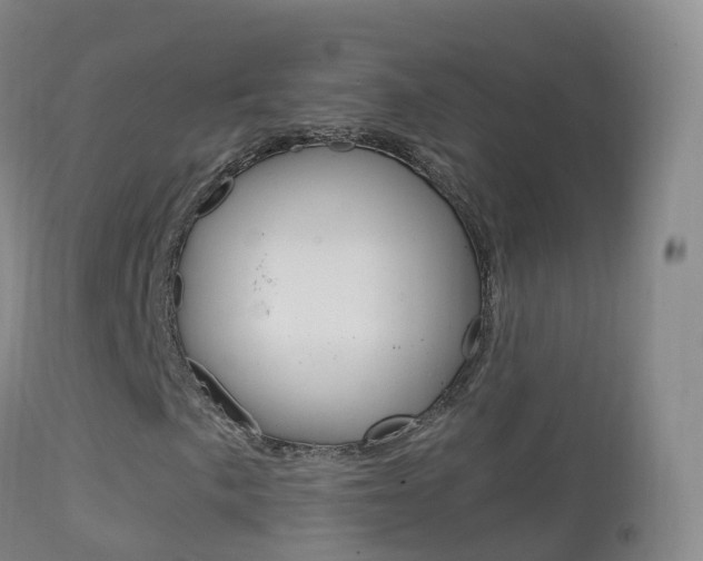 X0000114681057200910211027