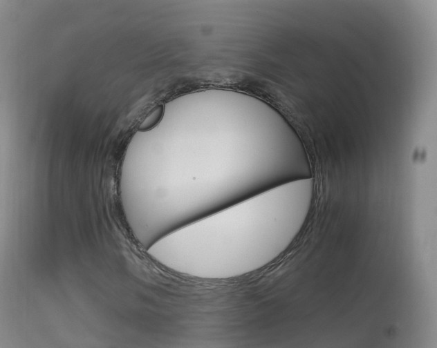 X0000114681058200910211027