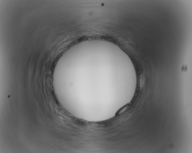 X0000114681059200910211027