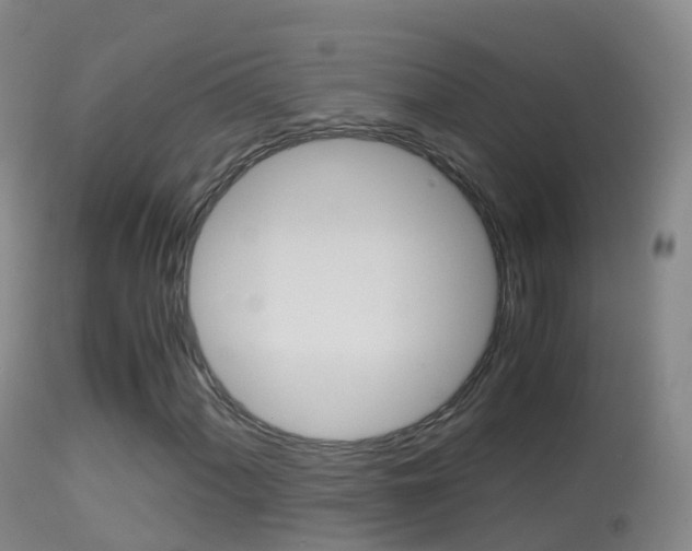 X0000114681060200910211027