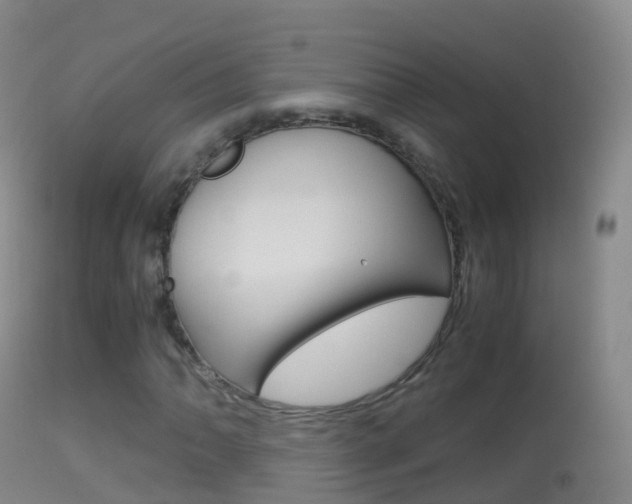 X0000114681062200910211027