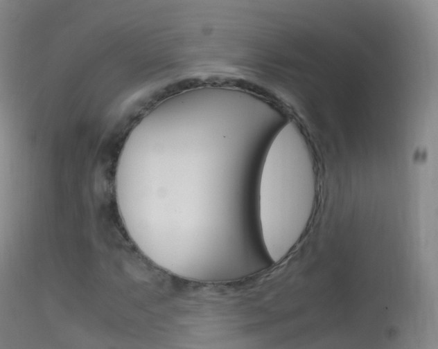 X0000114681063200910211027