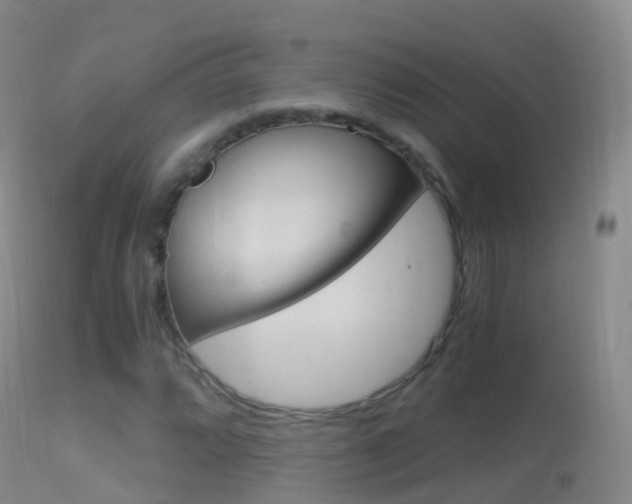 X0000114681064200910211027