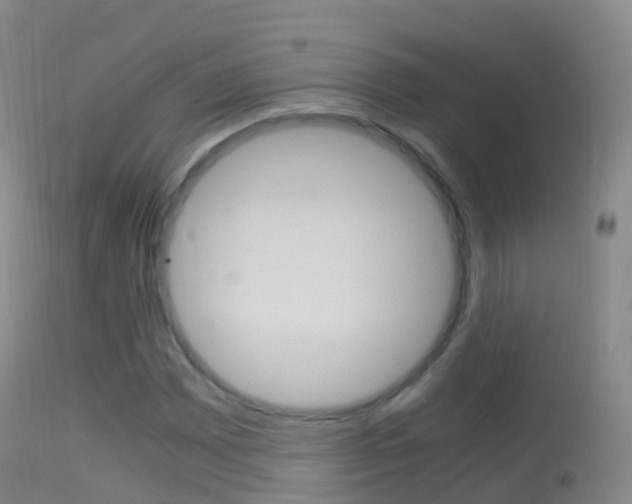 X0000114681065200910211027