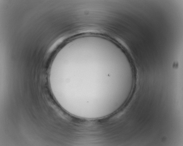 X0000114681067200910211027