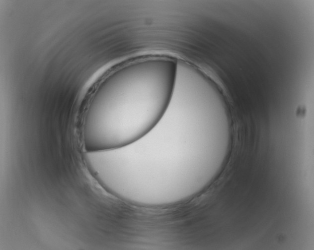 X0000114681068200910211027