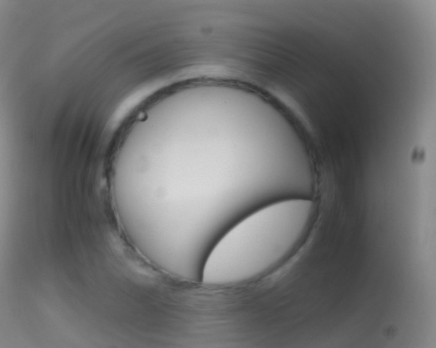X0000114681070200910211027