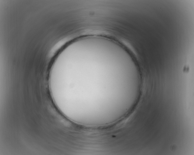 X0000114681071200910211027