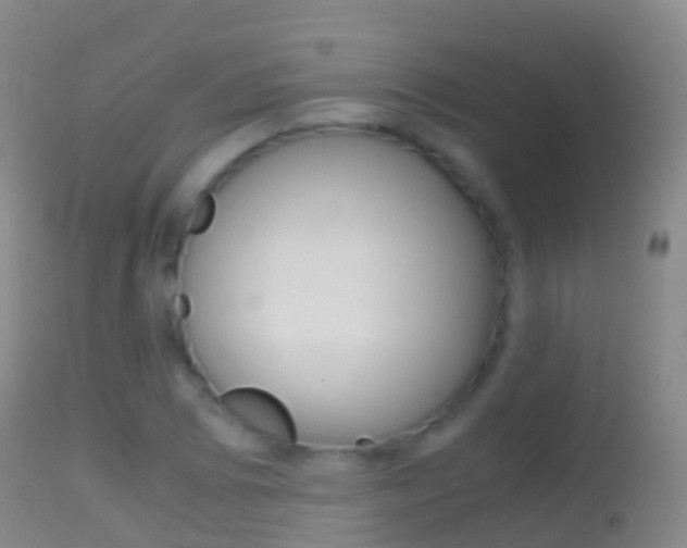 X0000114681073200910211026