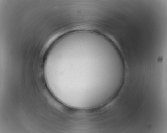 X0000114681075200910211026
