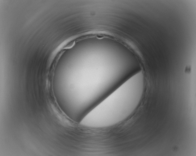 X0000114681076200910211026