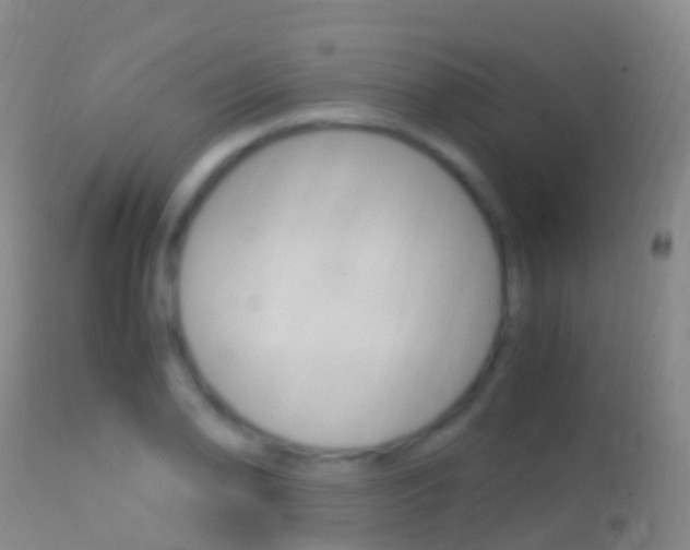 X0000114681078200910211026