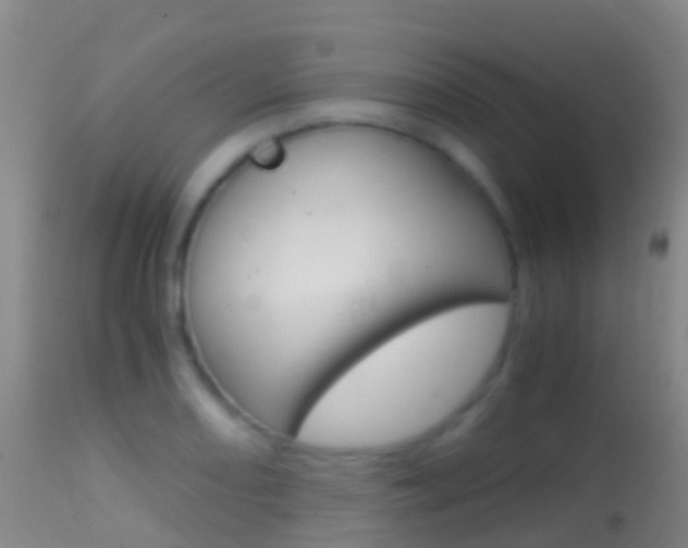 X0000114681082200910211026