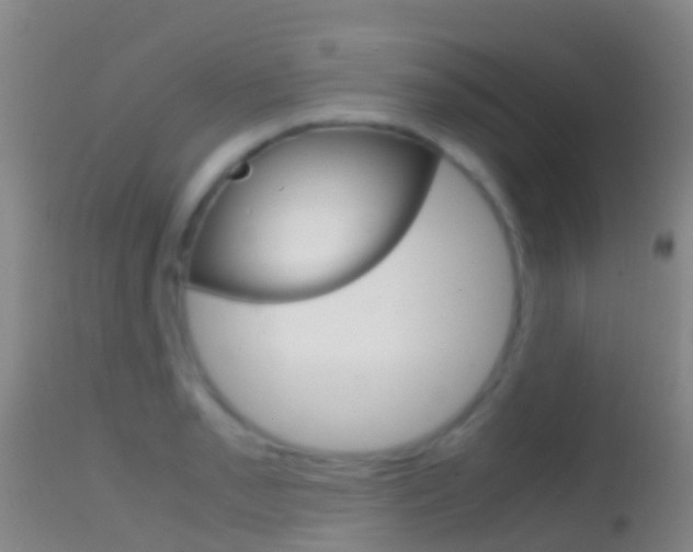 X0000114681085200910211026