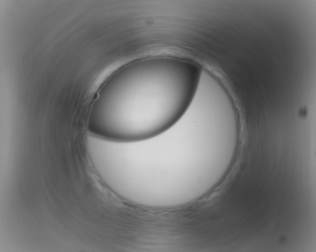 X0000114681089200910211026