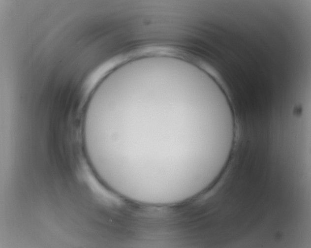 X0000114681090200910211026