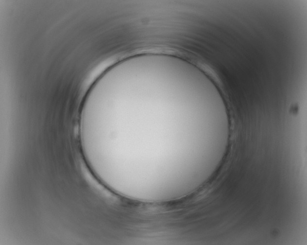 X0000114681095200910211026
