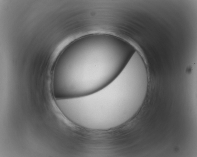 X0000114681096200910211026