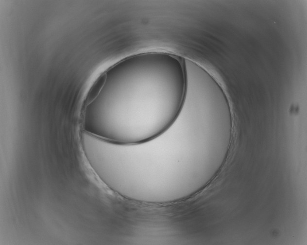 X0000114681104200910211026
