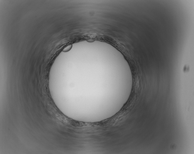 X0000114681105200910211025