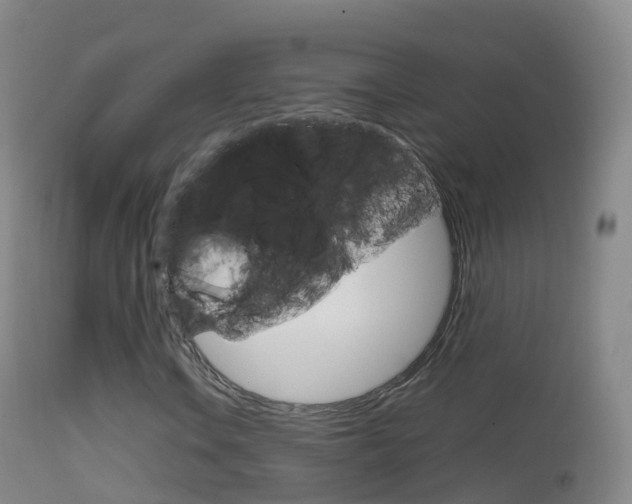 X0000114681106200910211025