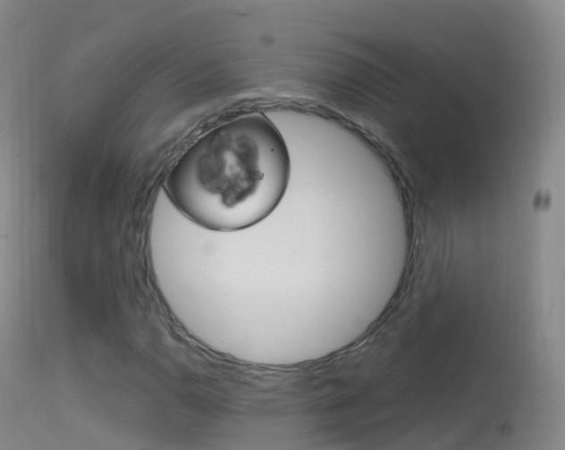 X0000114681110200910211025