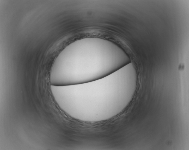 X0000114681111200910211025