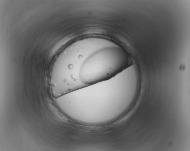 X0000114681113200910211026