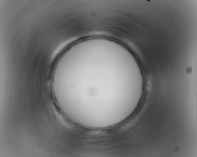 X0000114681117200910211026