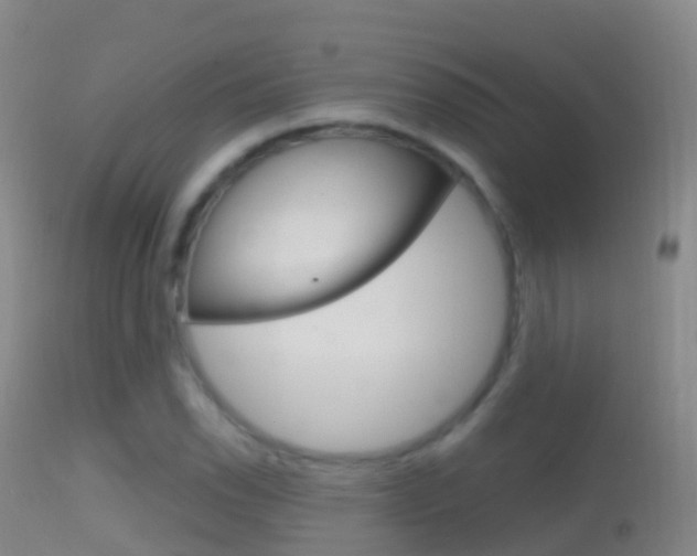 X0000114681118200910211026