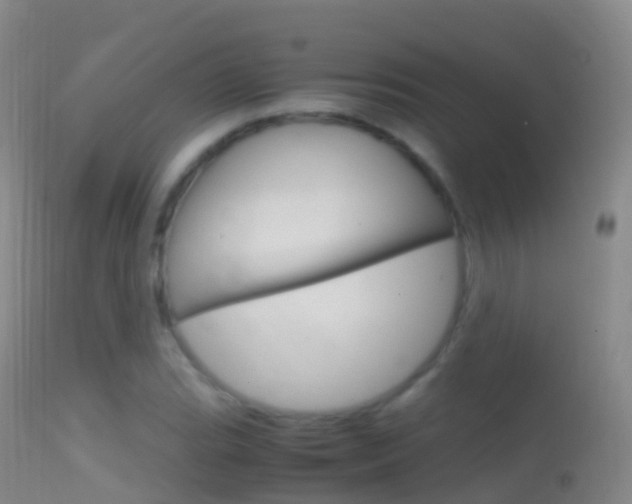 X0000114681119200910211026
