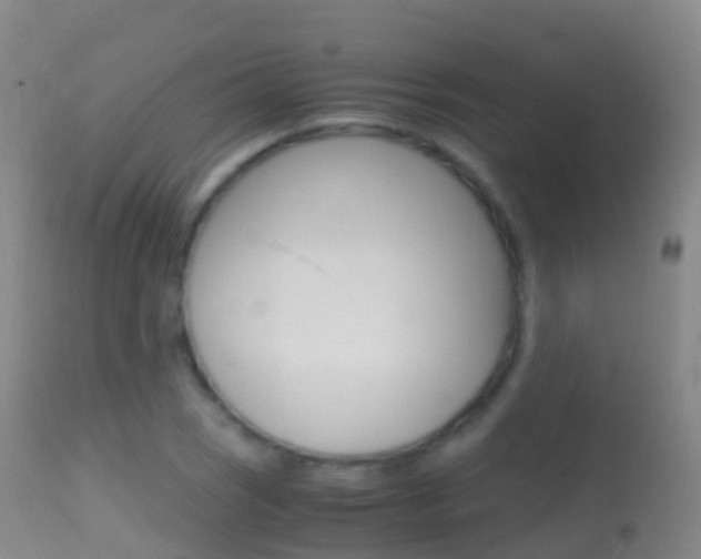 X0000114681121200910211026
