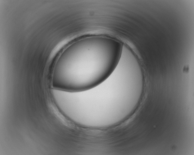 X0000114681122200910211026