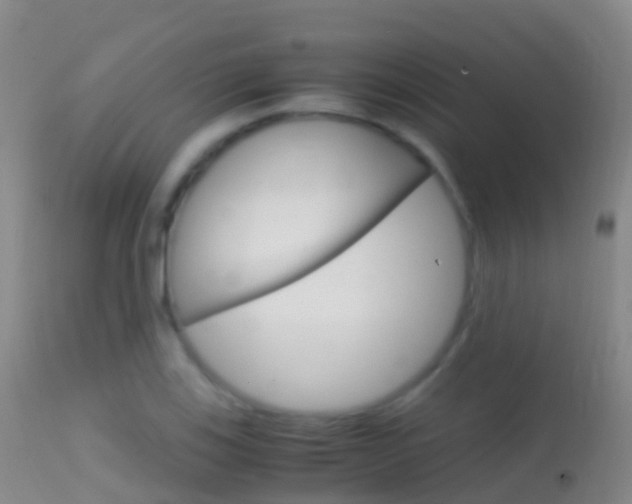 X0000114681123200910211026