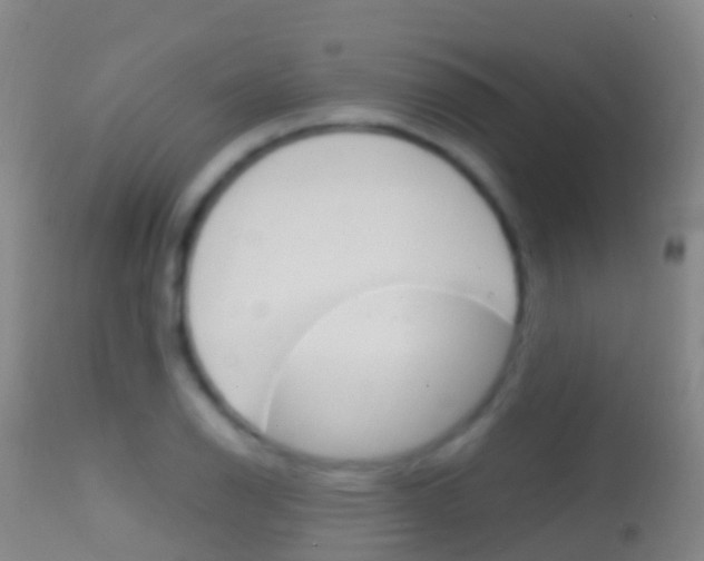 X0000114681126200910211026