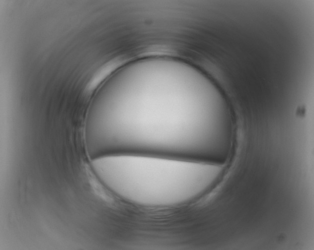 X0000114681129200910211026