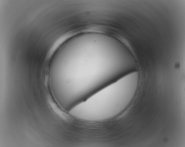 X0000114681131200910211026