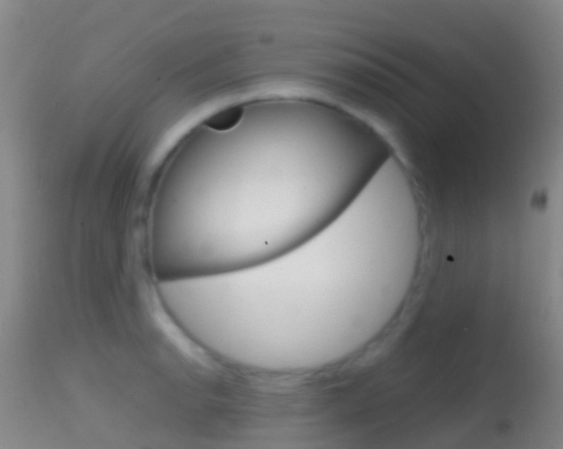 X0000114681134200910211026