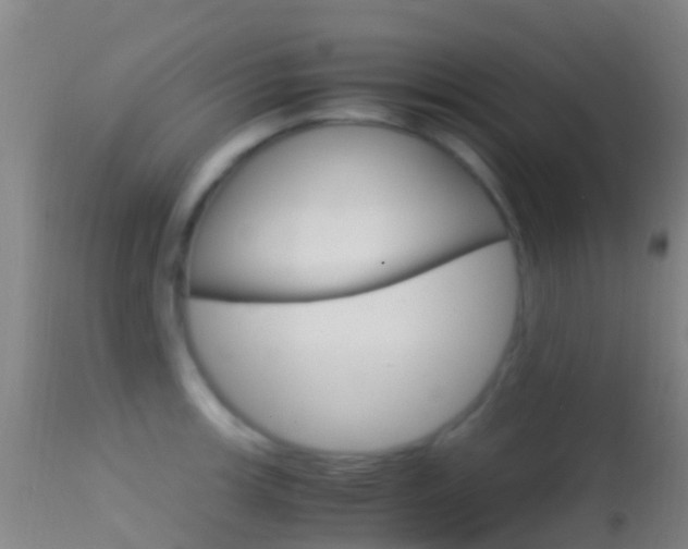 X0000114681139200910211026