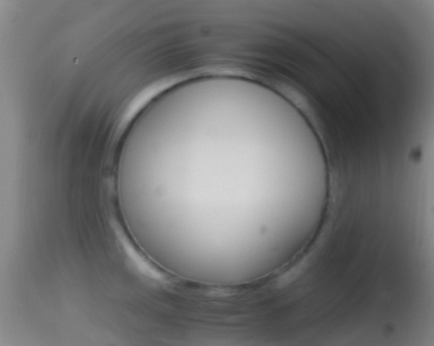 X0000114681141200910211026