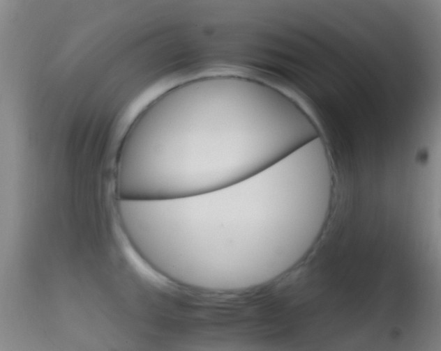 X0000114681143200910211026