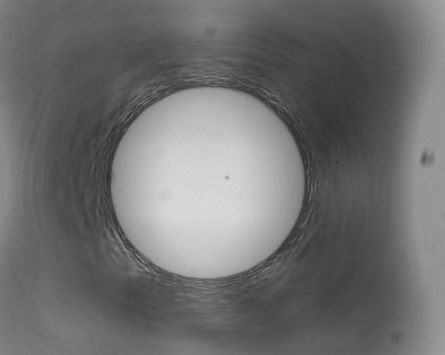 X0000114681153200910211025