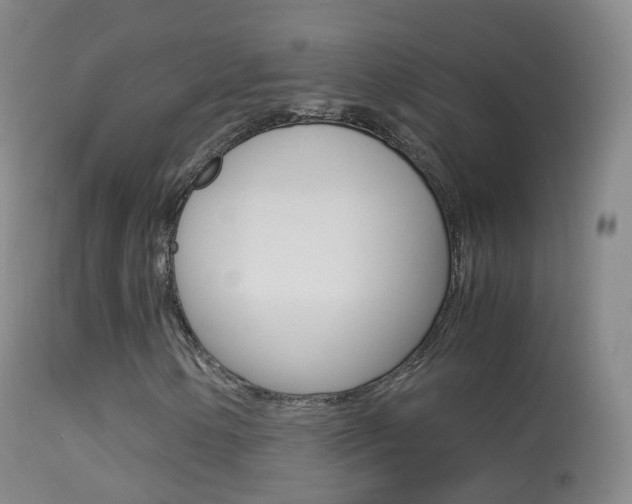 X0000114681154200910211025